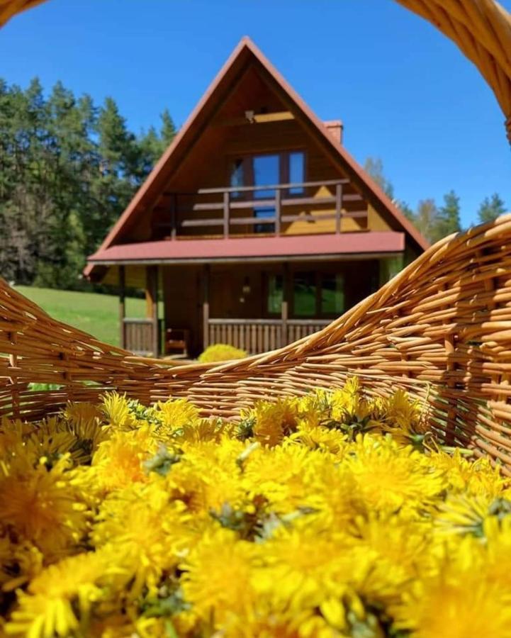 Lesko-ski Holiday home *