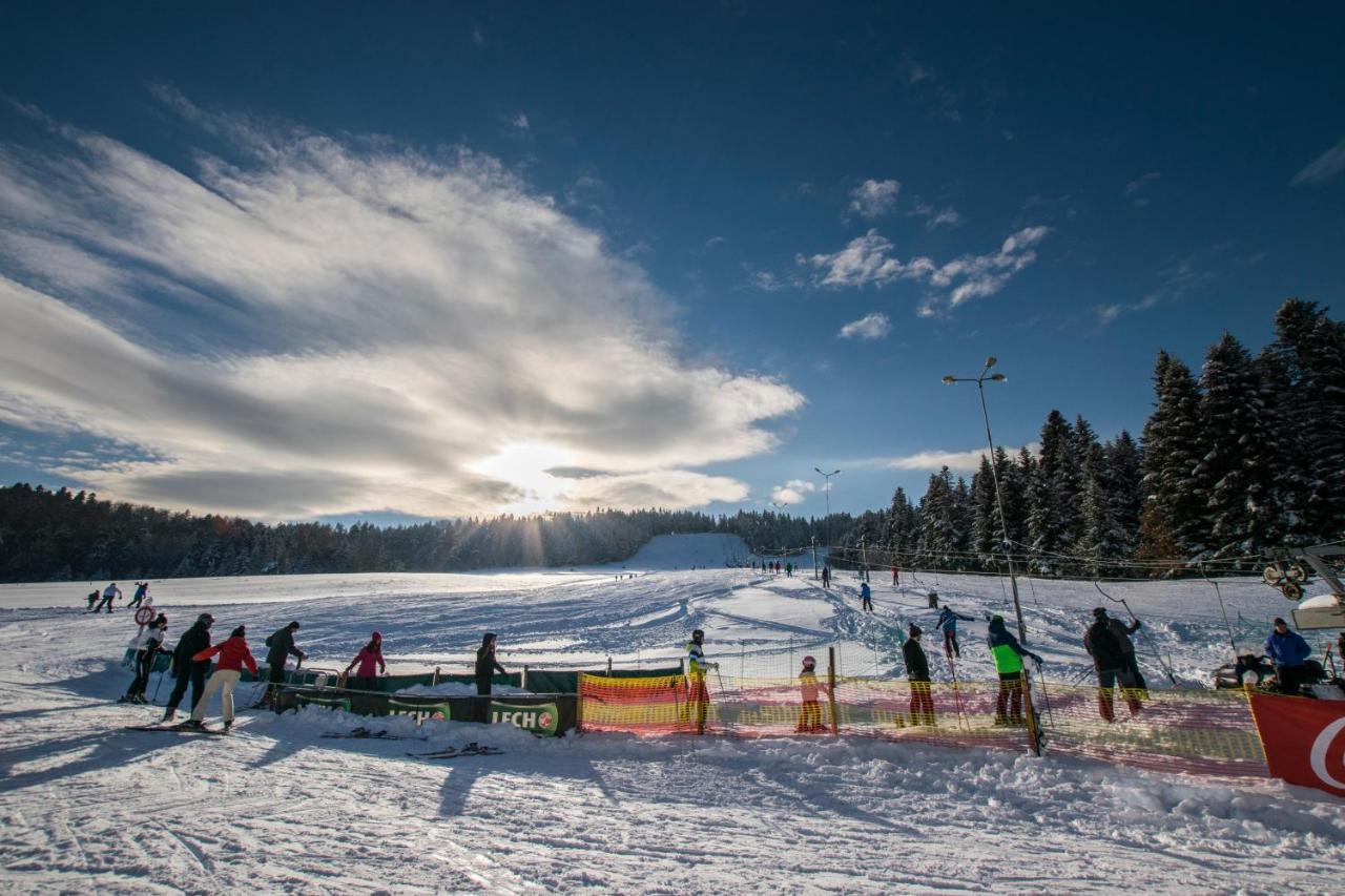 Lesko-ski Holiday home